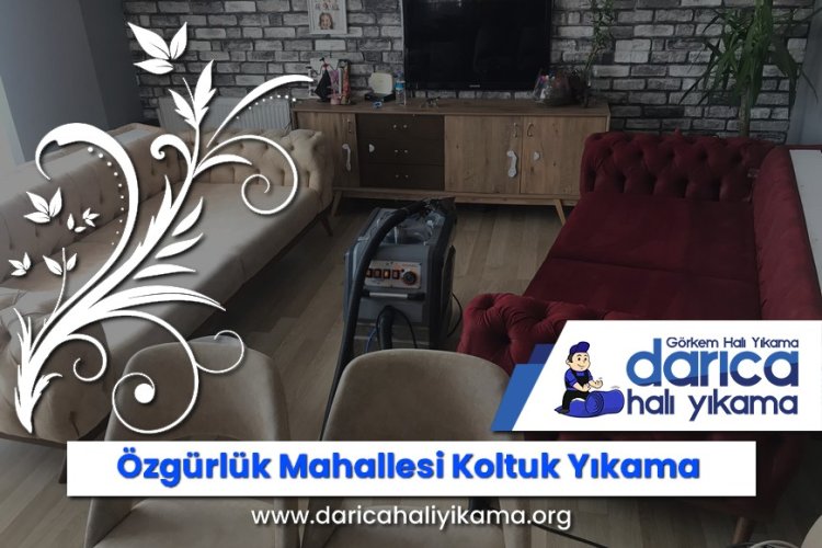 Özgürlük Mahallesi Koltuk Yıkama