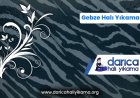 Gebze Halı Yıkama